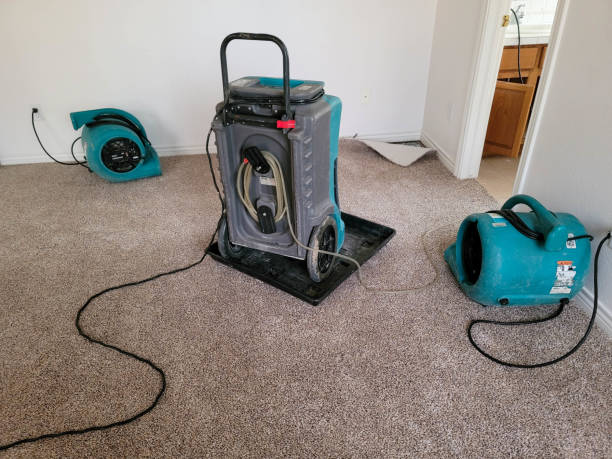 Best Mold removal after water damage  in Lake Dallas, TX