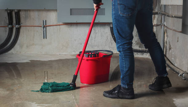 Best 24/7 water damage repair  in Lake Dallas, TX