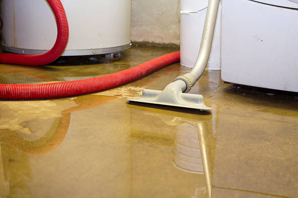 Best Mold removal after water damage  in Lake Dallas, TX