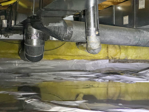 Best Fire Damage Restoration  in Lake Dallas, TX