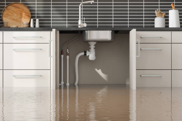 Best Flood restoration services  in Lake Dallas, TX