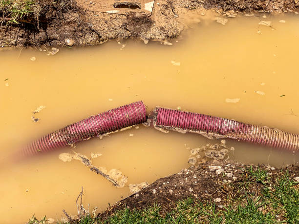 Best Commercial water damage restoration  in Lake Dallas, TX