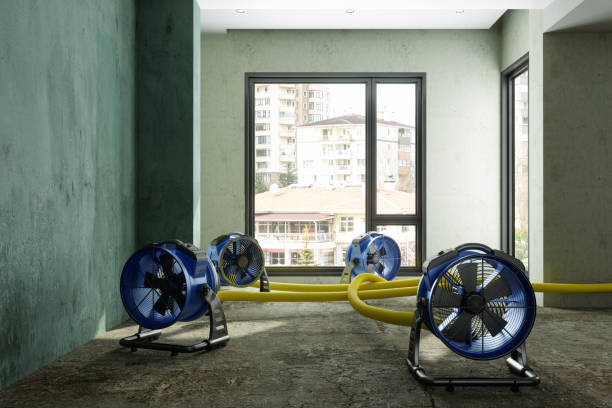 Best Carpet water damage restoration  in Lake Dallas, TX